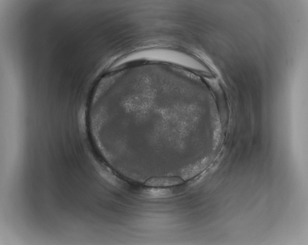 X0000111190154200907291211