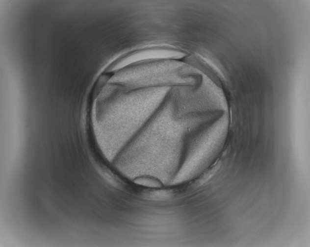 X0000111190156200907291211