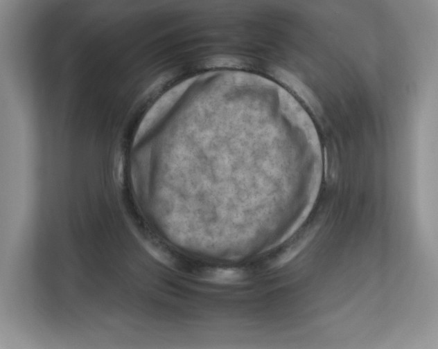 X0000111190157200907291211