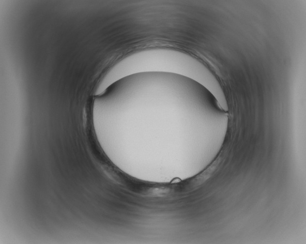 X0000111190158200907291211