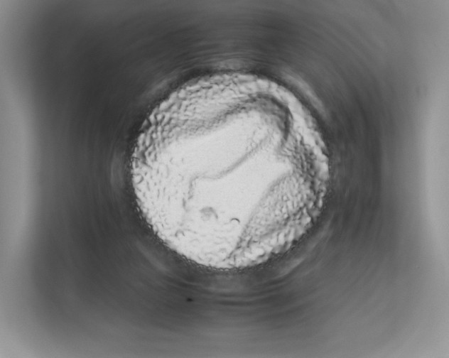 X0000111190161200907291211