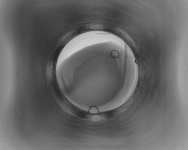 X0000111190163200907291211