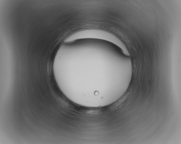 X0000111190168200907291211