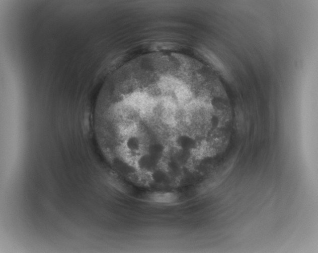 X0000111190169200907291211