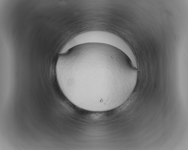 X0000111190172200907291211