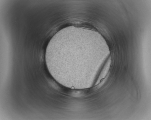 X0000111190174200907291211
