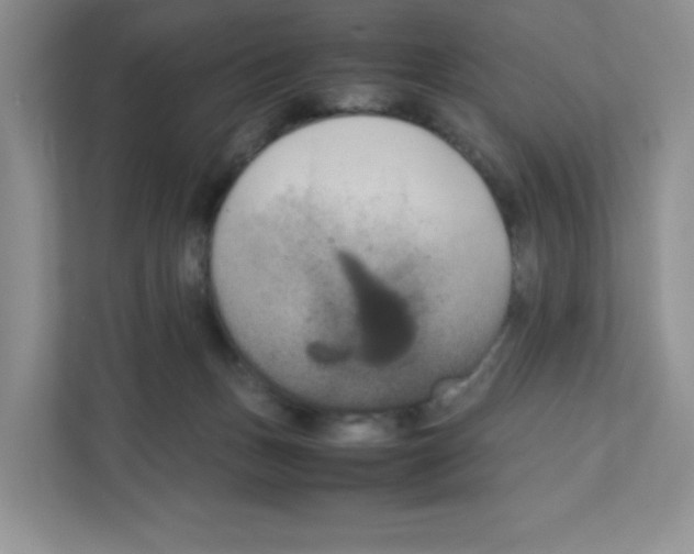 X0000111190175200907291211