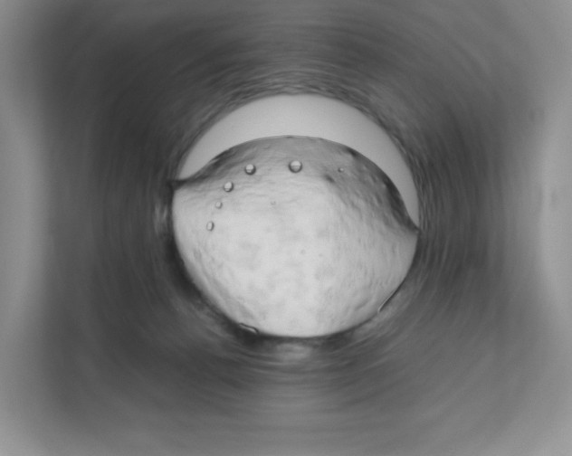 X0000111190176200907291211