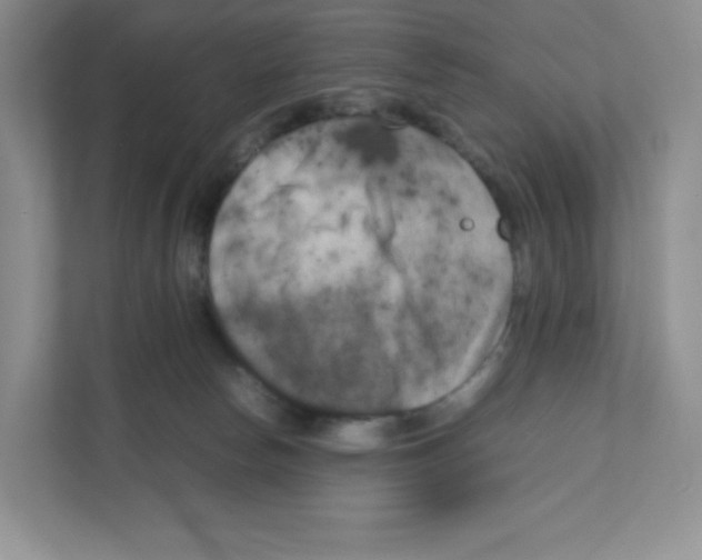 X0000111190178200907291211
