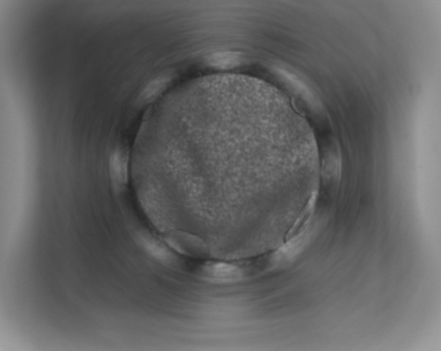 X0000111190180200907291211