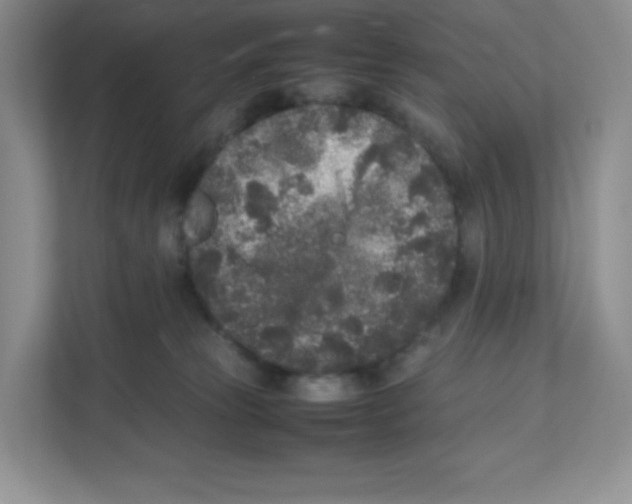 X0000111190181200907291211