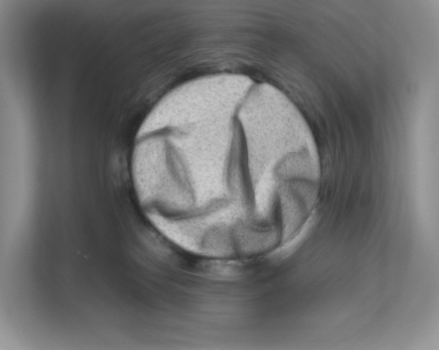 X0000111190182200907291211