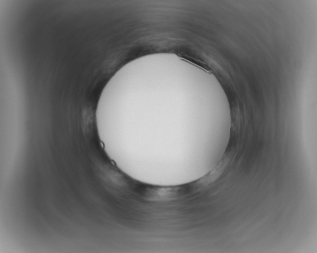 X0000111190184200907291211