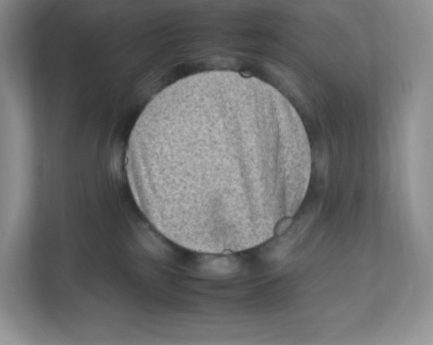 X0000111190185200907291211