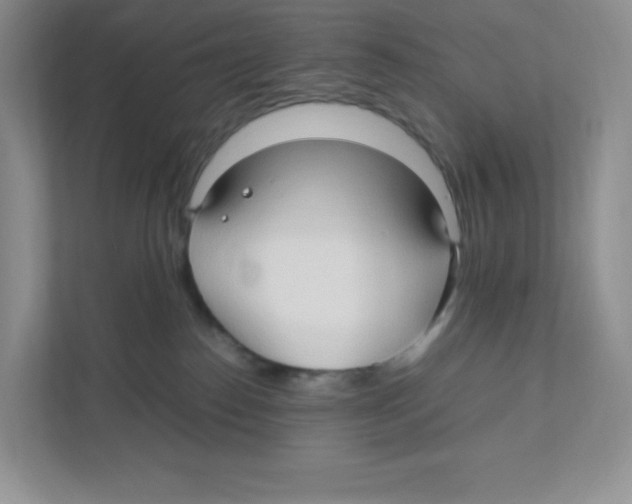 X0000111190186200907291211