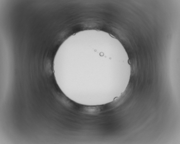 X0000111190187200907291211