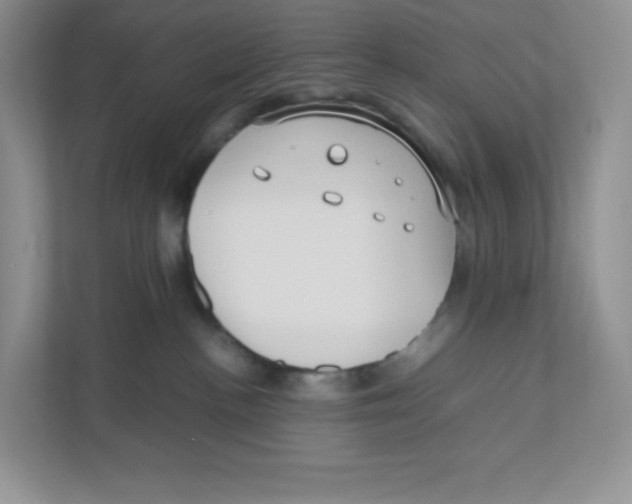 X0000111190188200907291211