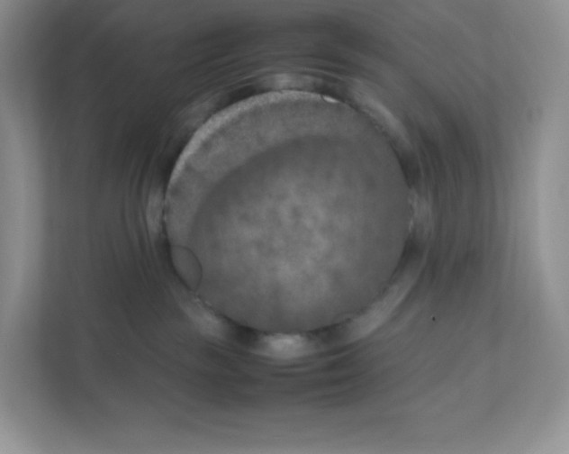 X0000111190189200907291211