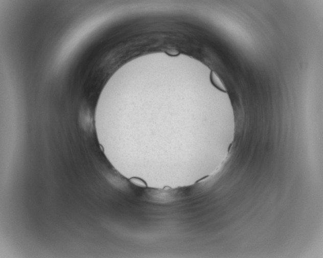 X0000111190191200907291211