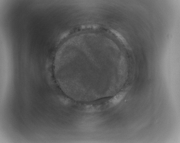 X0000111190192200907291211