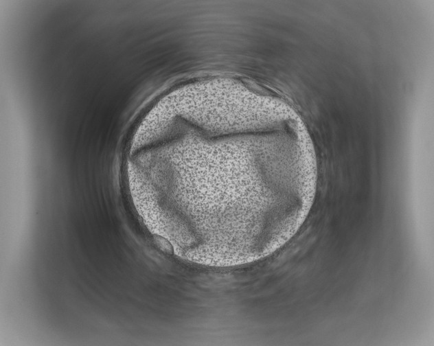 X0000111190194200907291211
