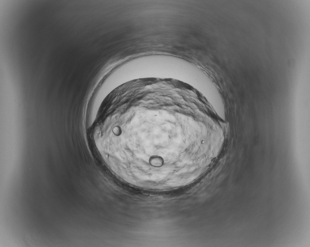 X0000111190195200907291211