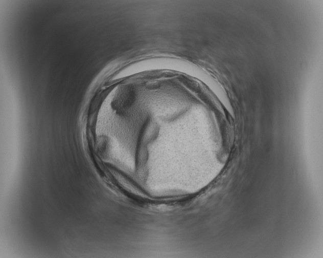 X0000111190197200907291211