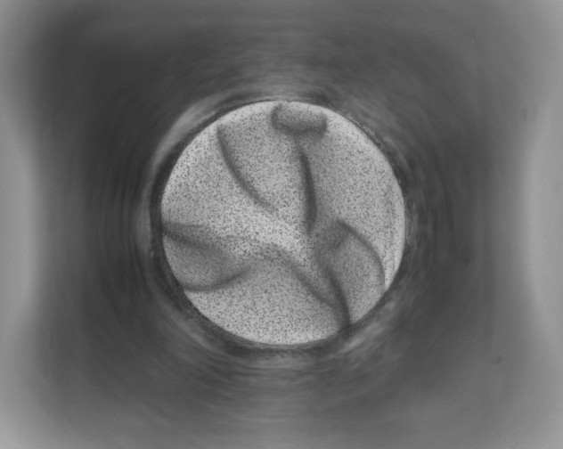 X0000111190198200907291211