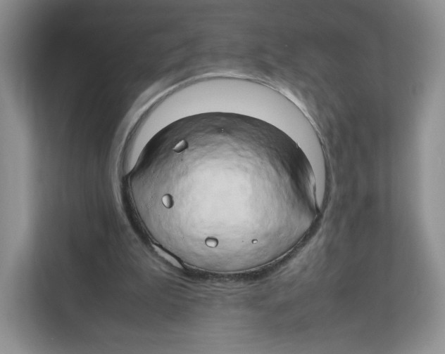X0000111190199200907291210