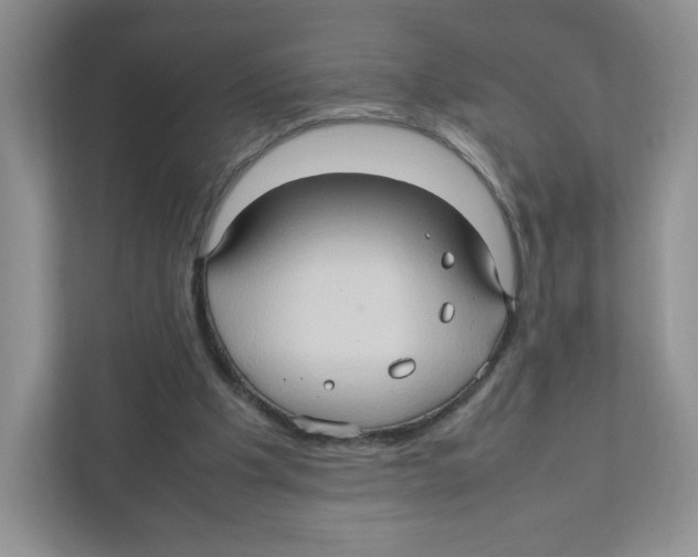 X0000111190201200907291210