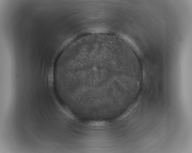 X0000111190202200907291210
