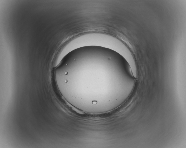 X0000111190203200907291210