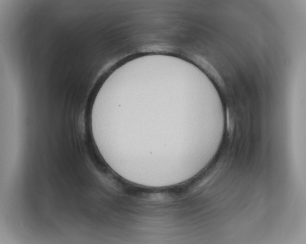 X0000111190204200907291210