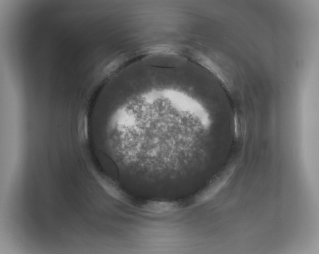 X0000111190205200907291210