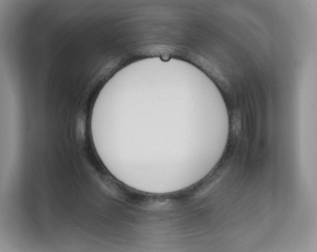 X0000111190206200907291210
