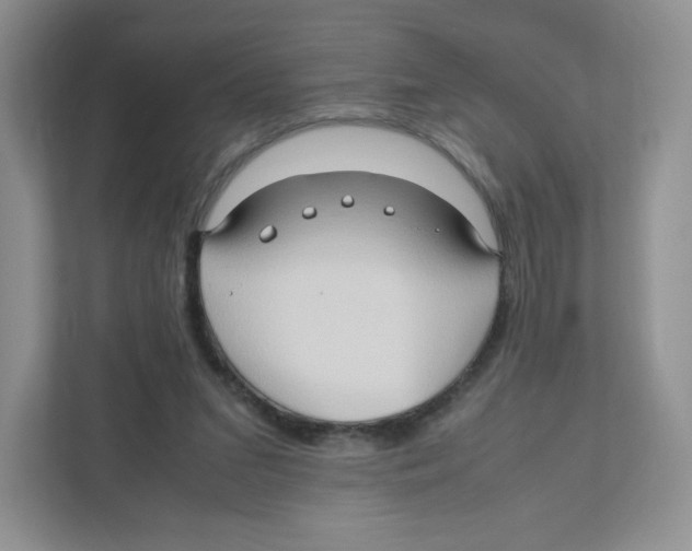 X0000111190207200907291210