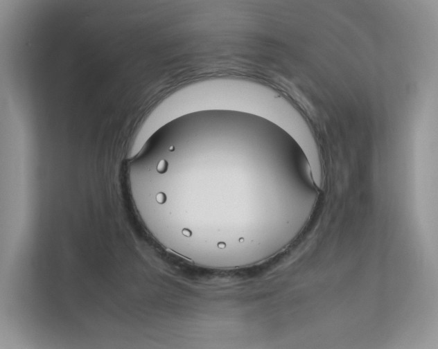 X0000111190209200907291210