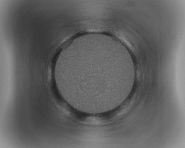 X0000111190211200907291210