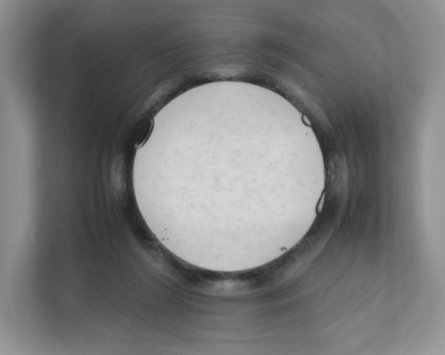 X0000111190212200907291210