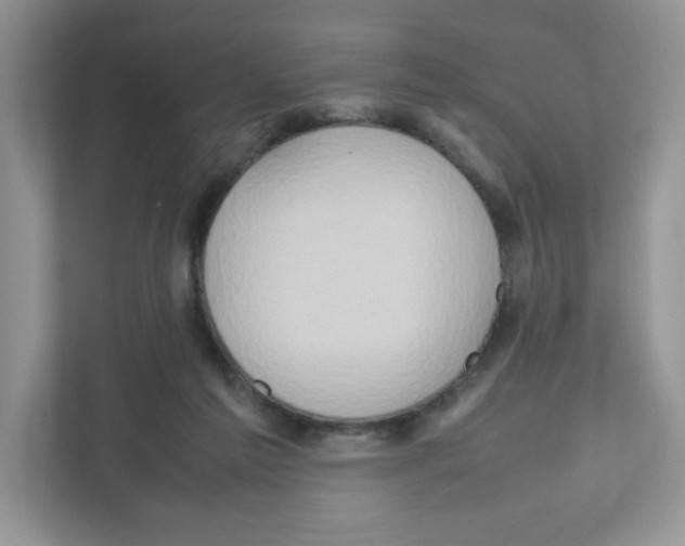 X0000111190213200907291210