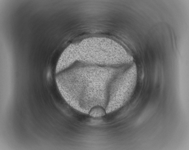 X0000111190214200907291210