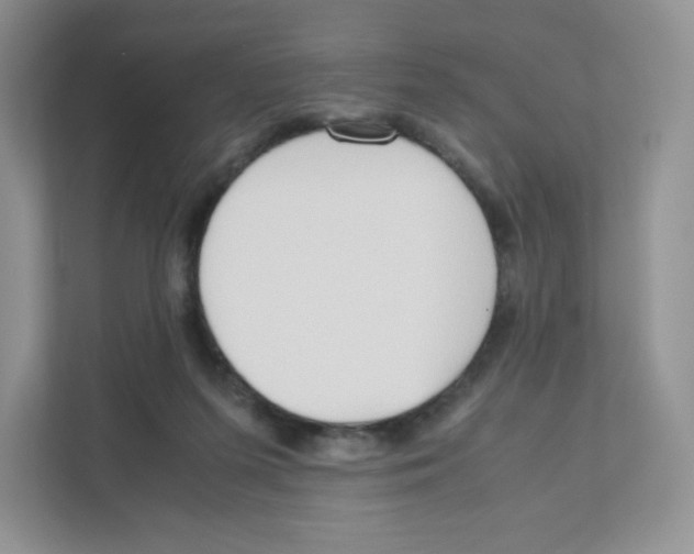 X0000111190215200907291210