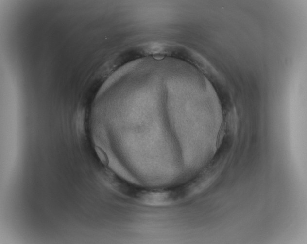 X0000111190217200907291210