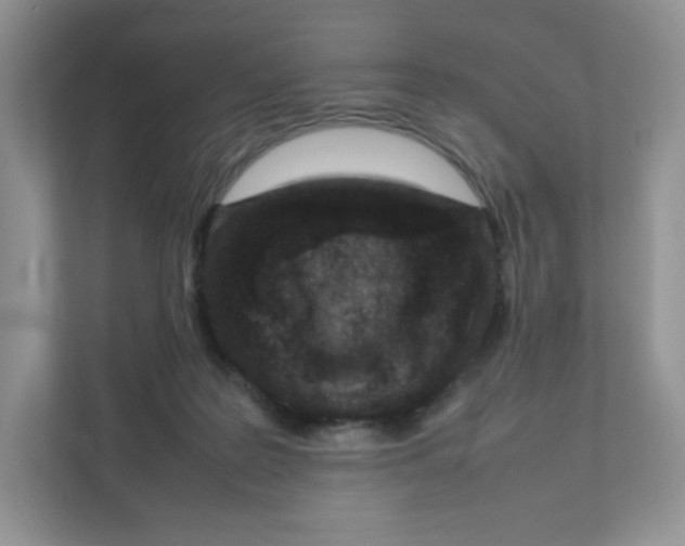 X0000111190219200907291210