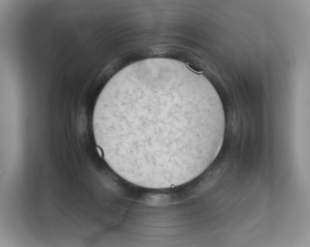 X0000111190220200907291210