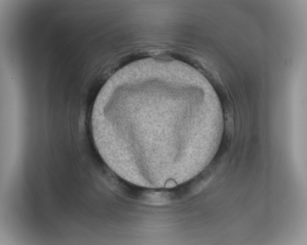 X0000111190221200907291210