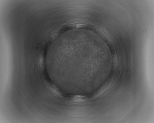 X0000111190222200907291210