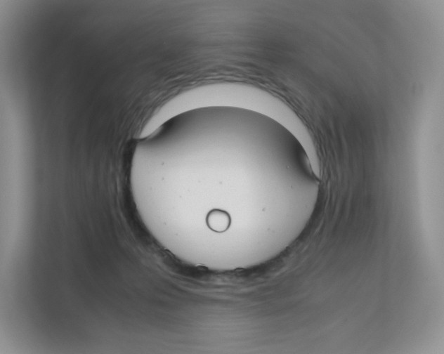 X0000111190223200907291210
