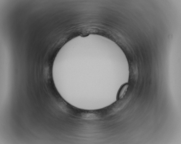 X0000111190224200907291210