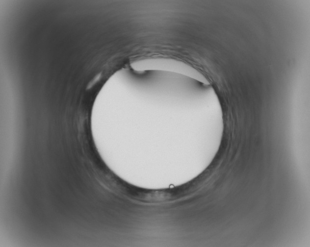 X0000111190225200907291210